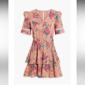 Beautiful Walter Baker Ivette Dress in Botanical Eyelet